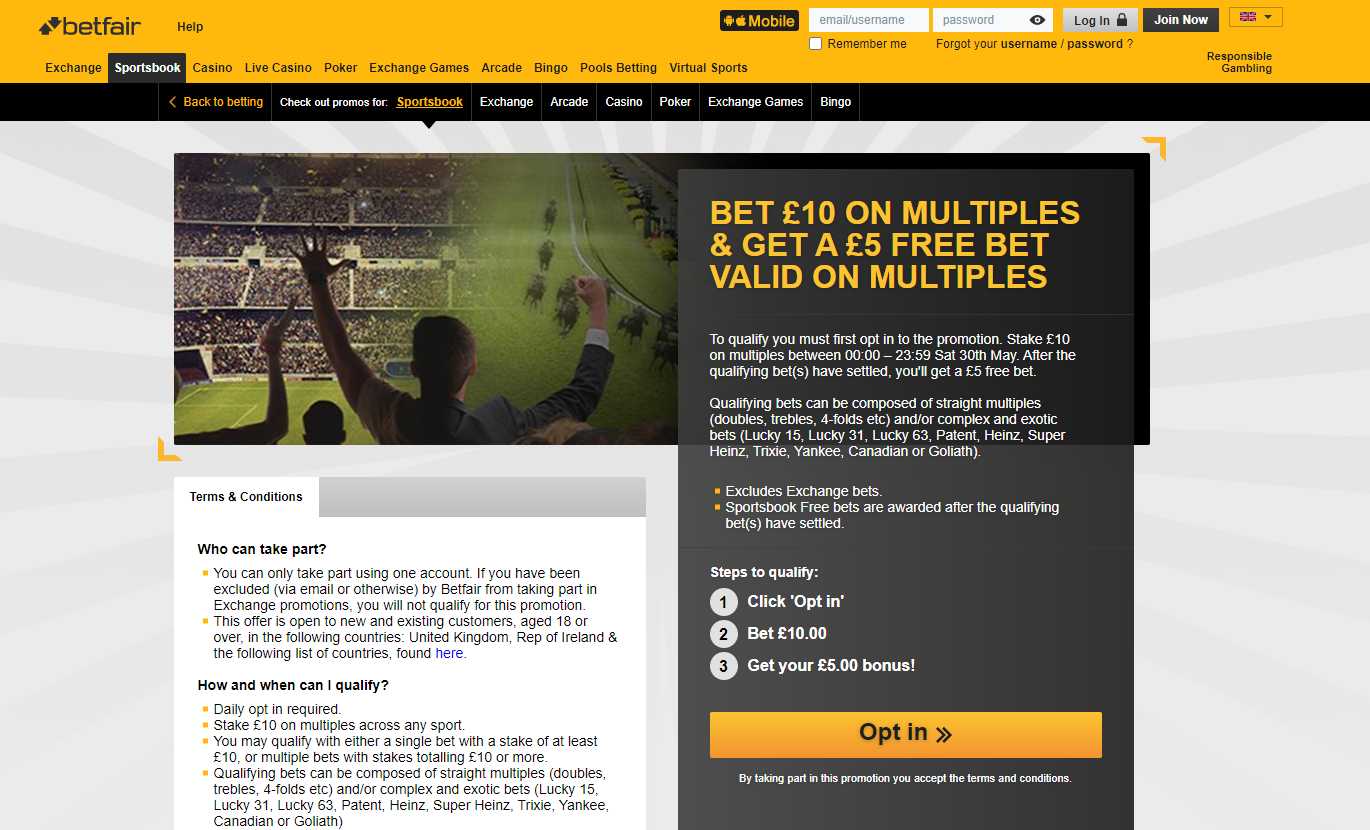 Placing a Bet With Betfair Exchange: Steps